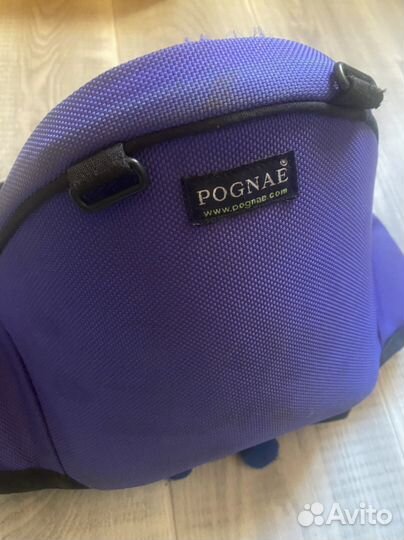 Хипсит Понье