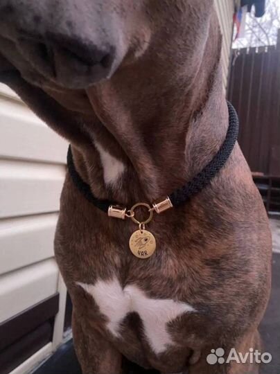 Адресник для питомца