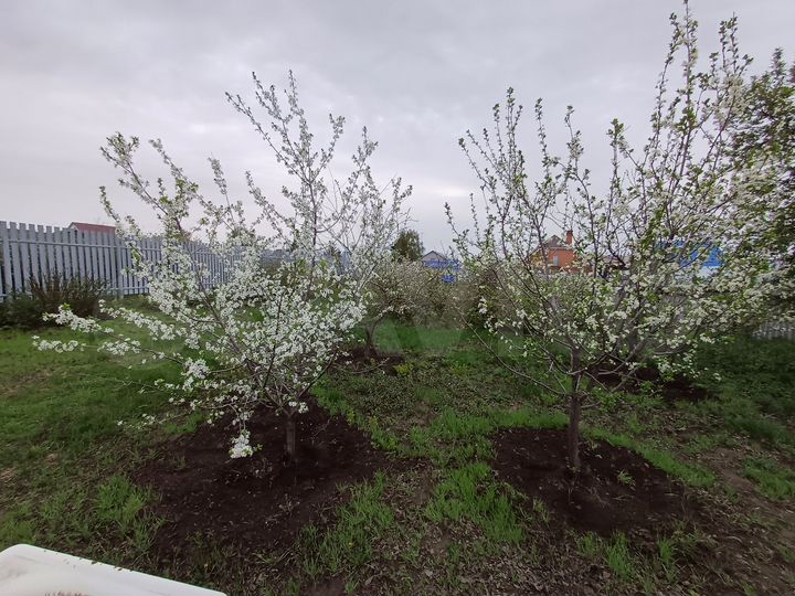 Дом 47 м² на участке 15 сот.