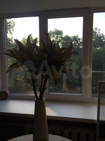 1-к. квартира, 31 м², 5/5 эт.