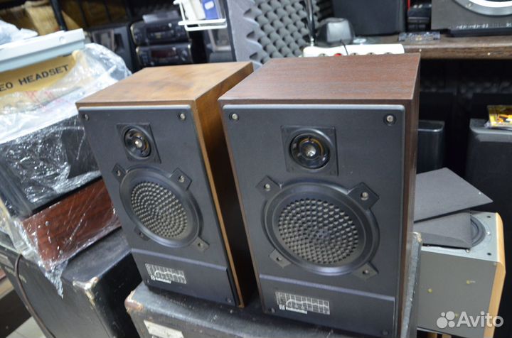 Колонки Радиотехника S-30