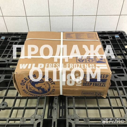 Палтус черный опт