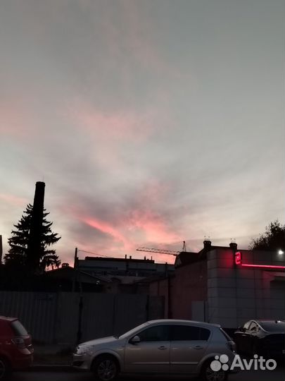 Увеличиваю возраст ваших петов в адопт ми