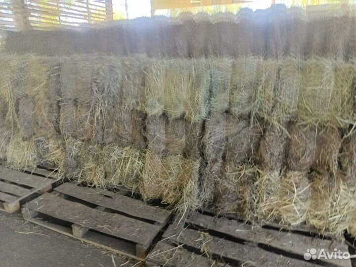 Сено в квадратных тюках