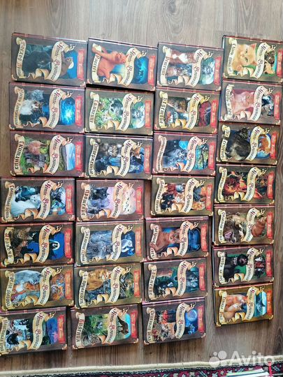 Коты воители