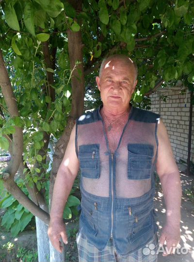 Водитель кат. В, С, Д. Е. Сторож