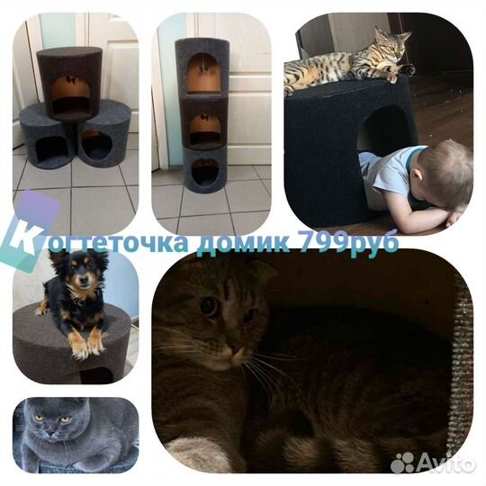 Когтеточка столбик