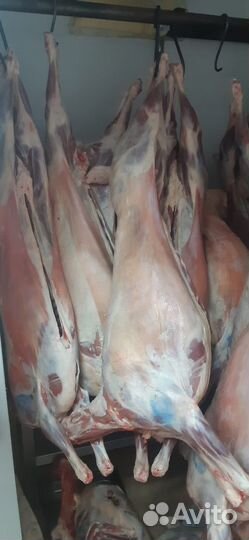 Мясо говядина баранина дагестанская халяль