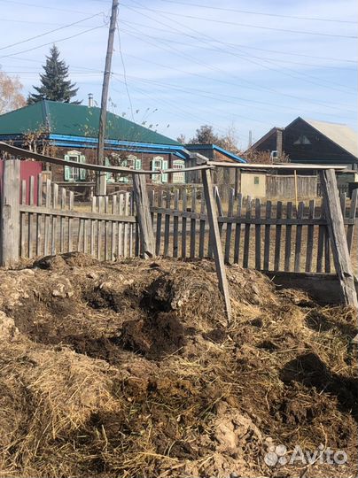 Навоз, перегной