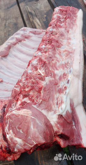 Мясо свинина домашняя