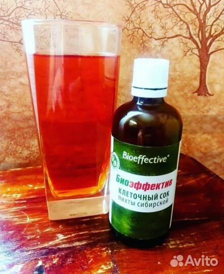 Клеточный сок пихты сибирской 100 мл