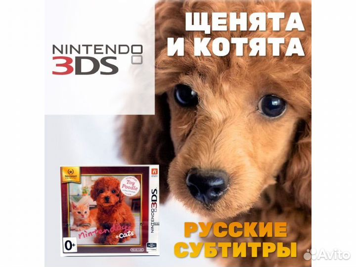 Nintendogs+Cats. Карликовый пудель и новые друзья
