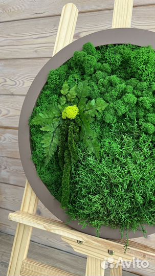 Панно из стабилизированного мха. Мы в Омске