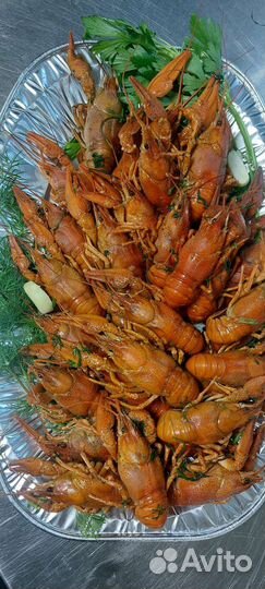 Живые раки