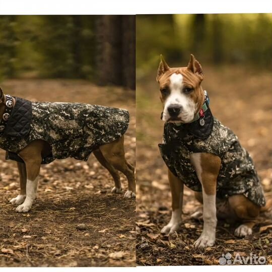 Попона для собак комбинезон, новые