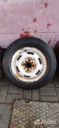 Gislaved Nord Frost 5 175/70 R13 82M