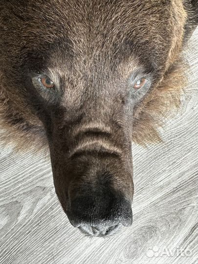 Шкура медведя (имитация)