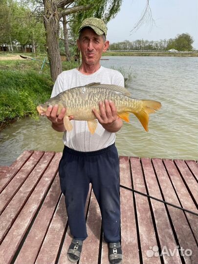 Рыбалка и отдых