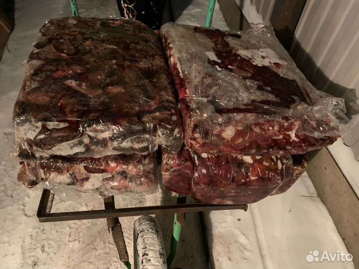 Рыбные отходы для животных