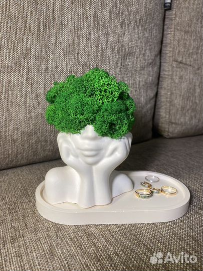 Кашпо Мечтательница со стабилизированным мхом