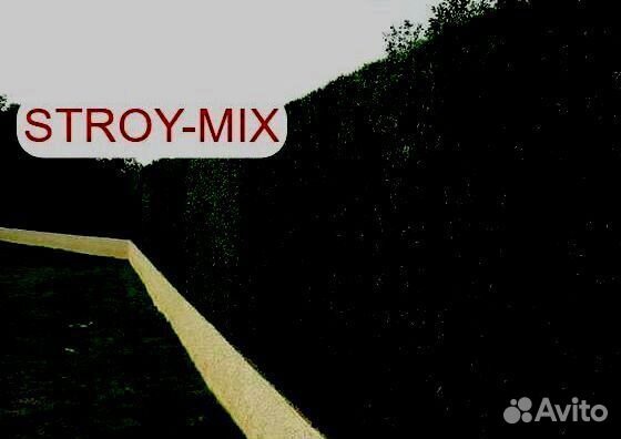 Зеленый забор (Калифорнийская изгородь)