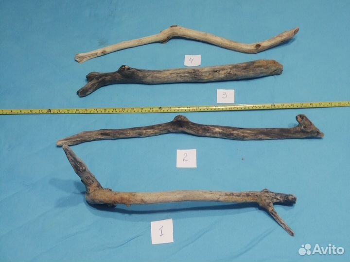 Коряга дрифтвуд