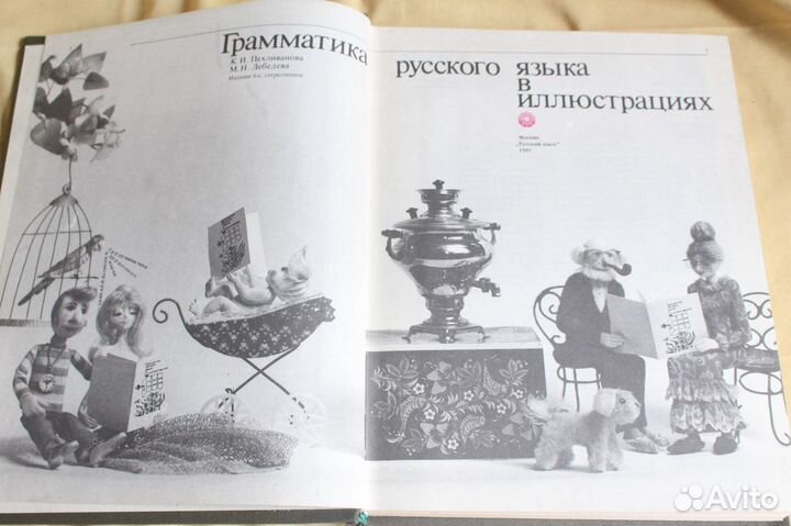 Грамматика русского языка в иллюстрациях