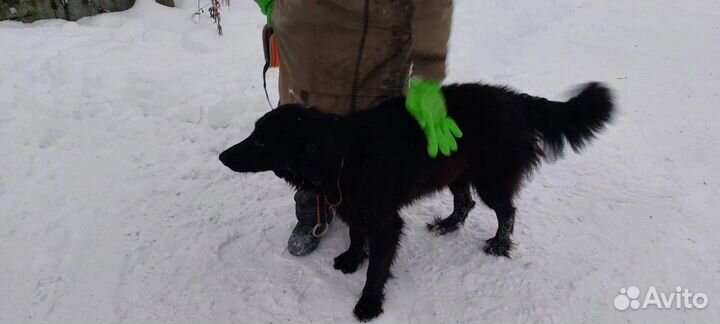 Две девчонки-неженки в пожизненном отлове
