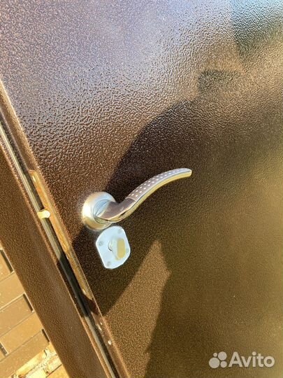 Дверь входная металлическая. Для частного дома