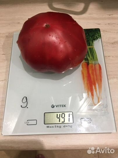 Семена сортовых томатов