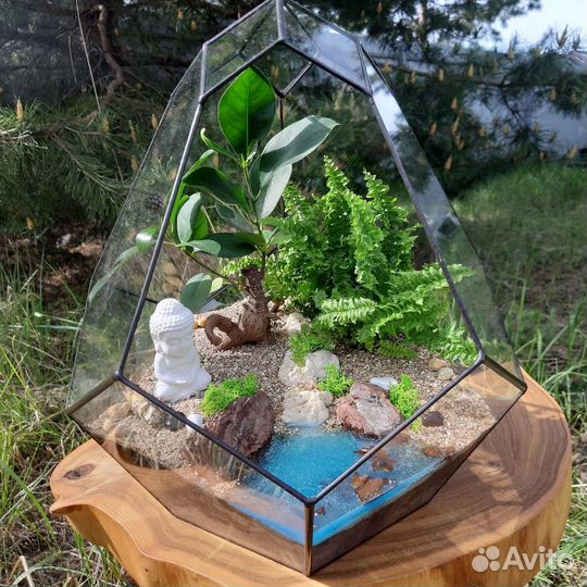 Флорариум бонсай