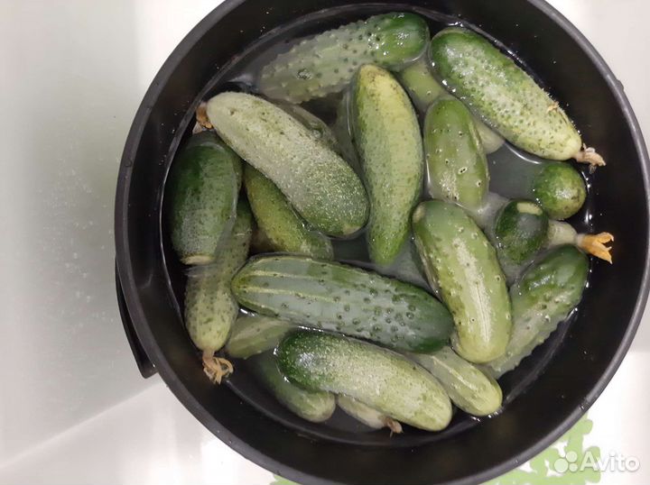 Огурцы свежие домашние