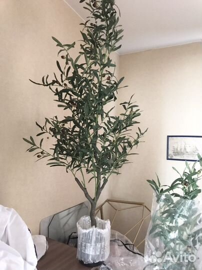 Пампасная трава декор растение