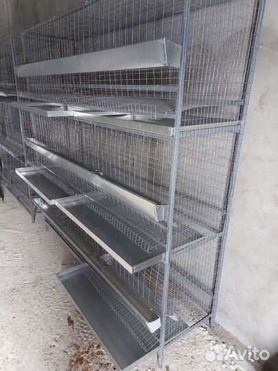 Клетки для кур несушек бу. Один сезон