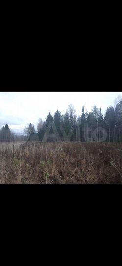 Участок 10 сот. (СНТ, ДНП)