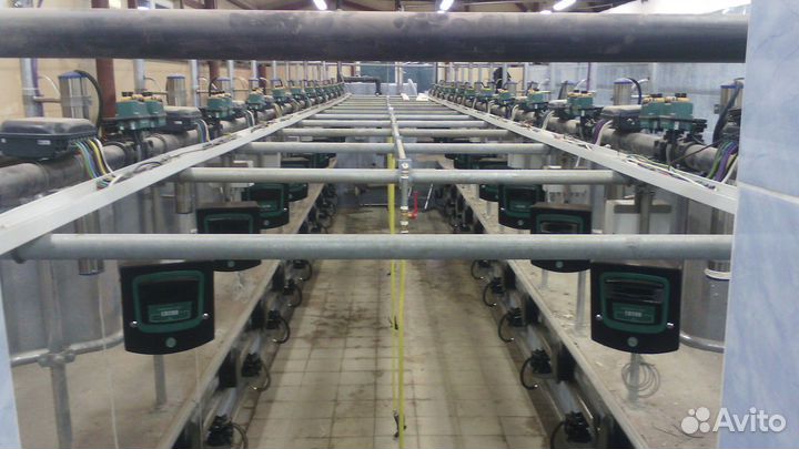 Доильный зал типа Ёлочка