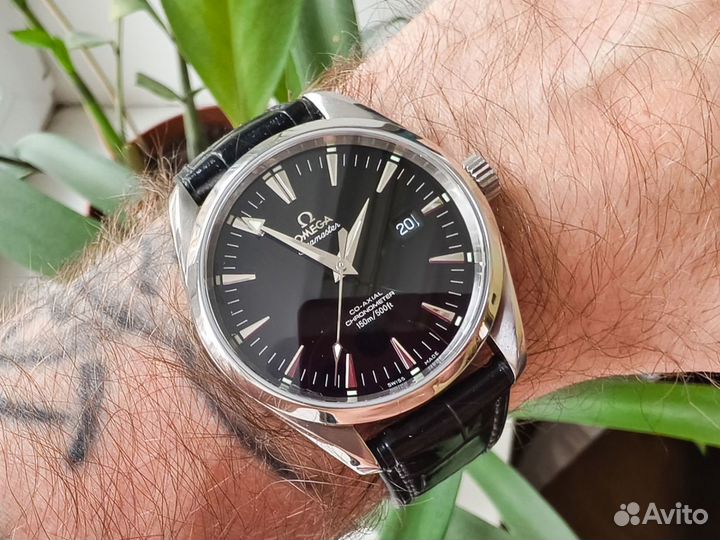 Omega Seamaster Aqua Terra Big-size