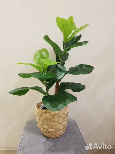 Искусственные цветы в горшке. Искусственный фикус