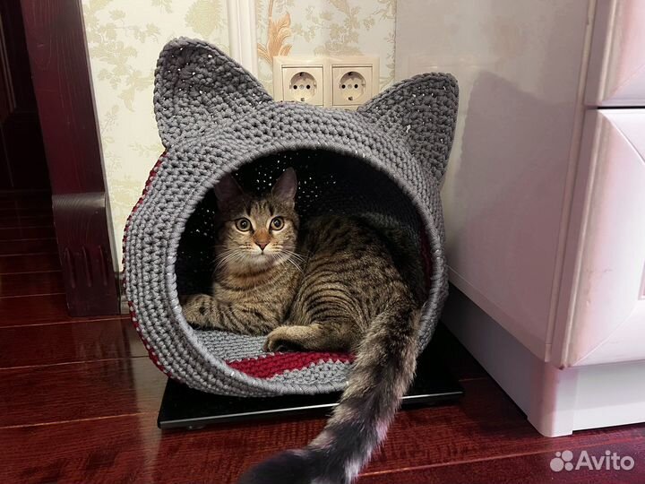 Кошачий домик-лежанка под заказ