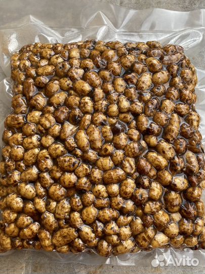 Тигровый орех