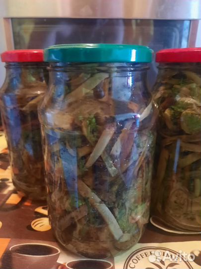 Барсучий жир/Мёд/Папоротник страусник солёный