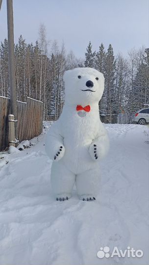 Белый мишка поздравление ростовой медведь аниматор