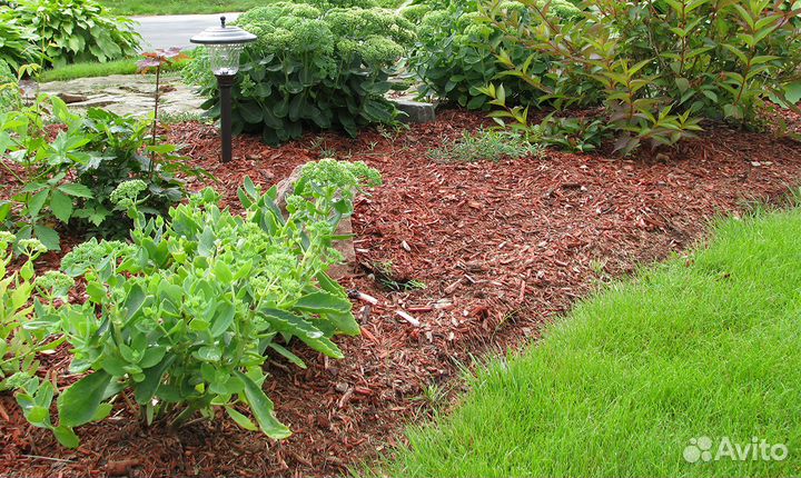 Кора, мульча лиственницы и сосны фракция 10-25 мм