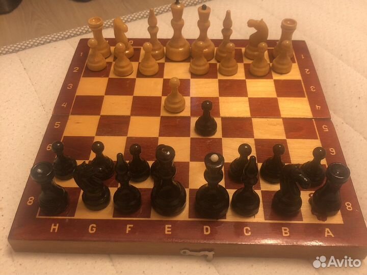 Шахматы СССР 1980