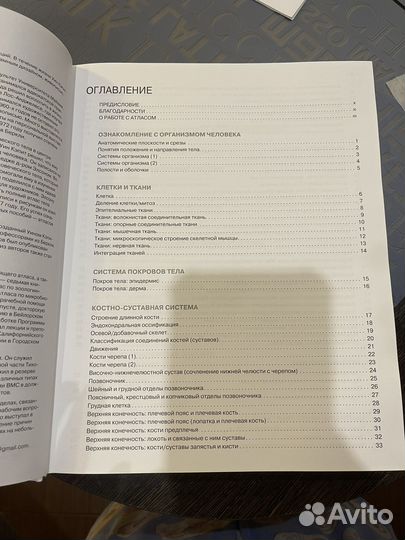 Анатомия человека Атлас-раскраска