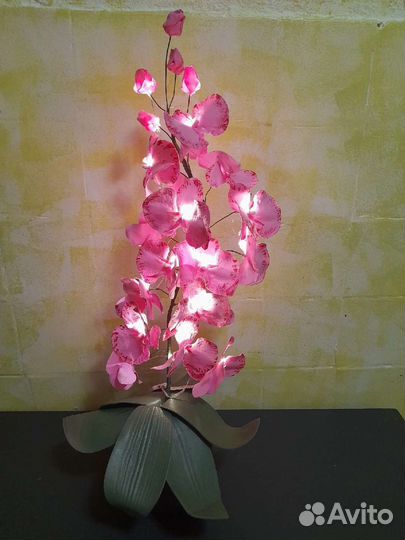 Музыка ветра