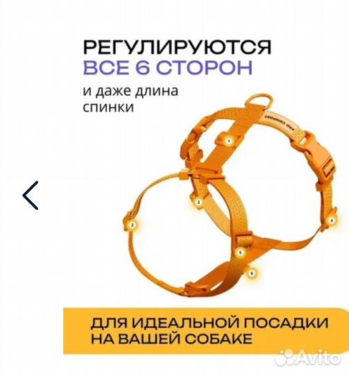 Шлейка для собаки анатомическая