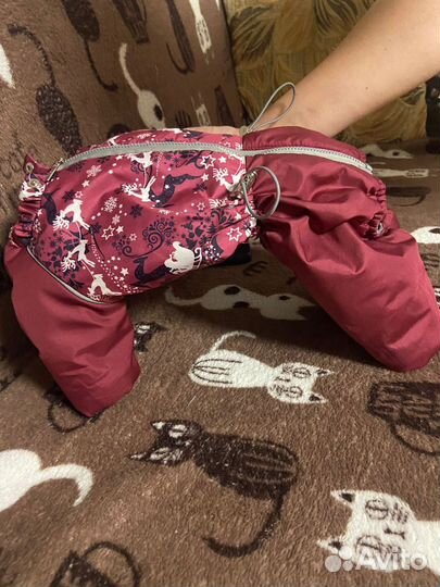 Комбинезон для собак мелких пород