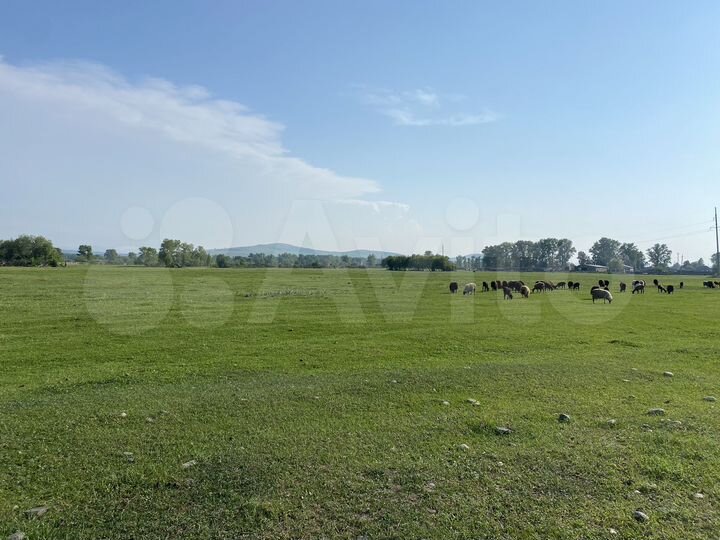 Участок 76,43 га (СНТ, ДНП)