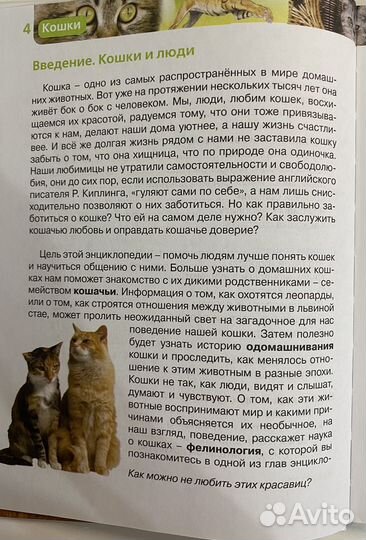 Энциклопедия росмэн